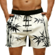 Solid Pattern High-End Men's Beach Swim Shorts
