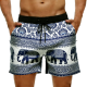 Solid Pattern Plus Size Men's Breathable Swimwear